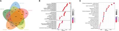 Identification of PDCD1 as a potential biomarker in acute rejection after kidney transplantation via comprehensive bioinformatic analysis